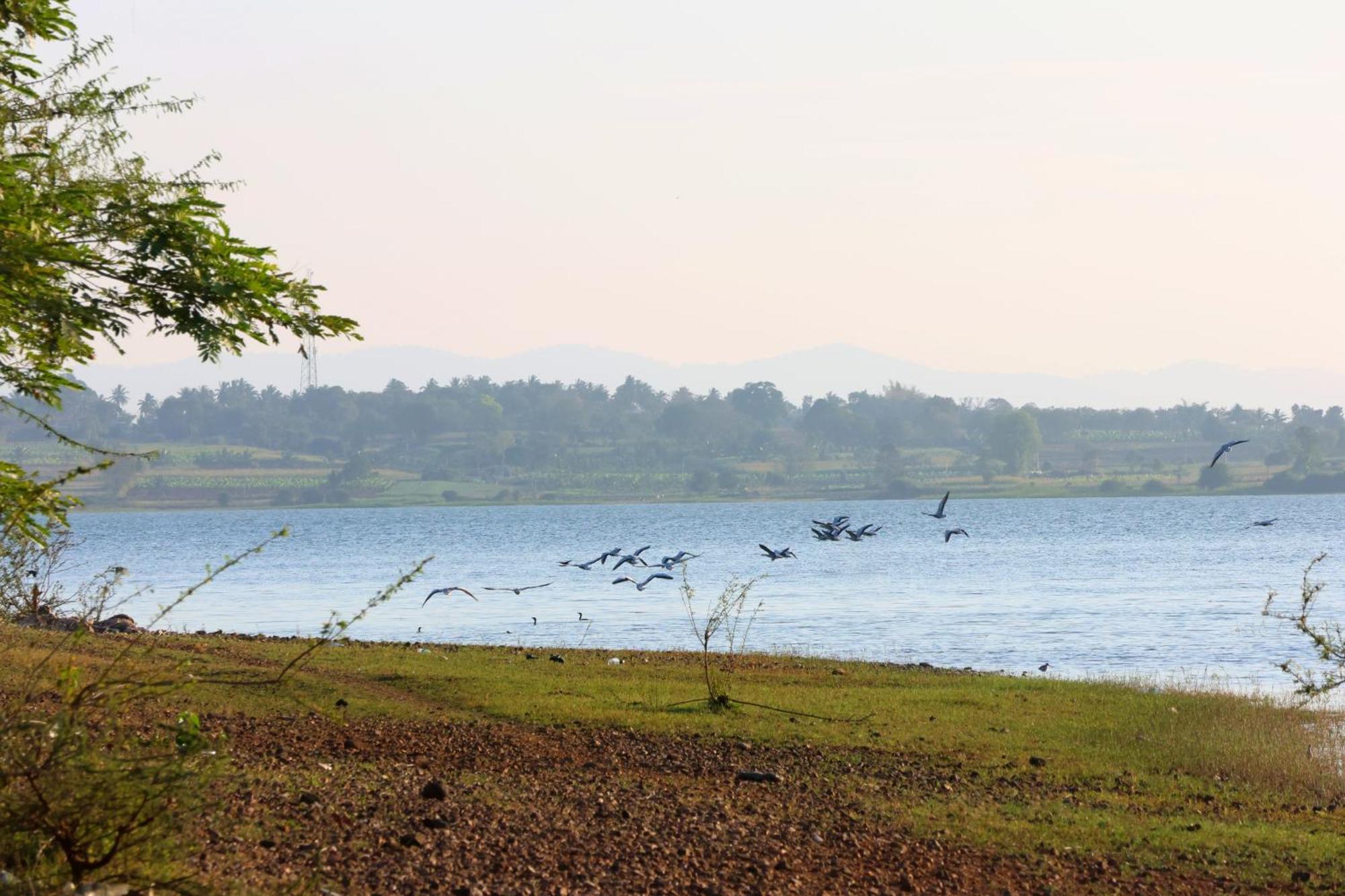 Arasu Homestay Antharasanthe ภายนอก รูปภาพ